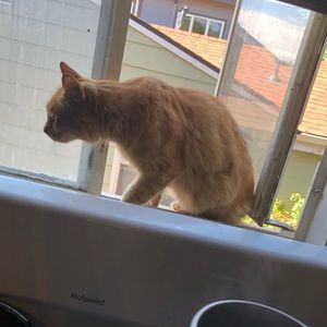 Meet your Posher, Tori